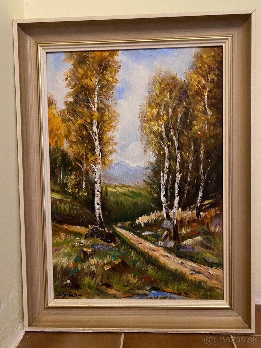 Obraz krajinky