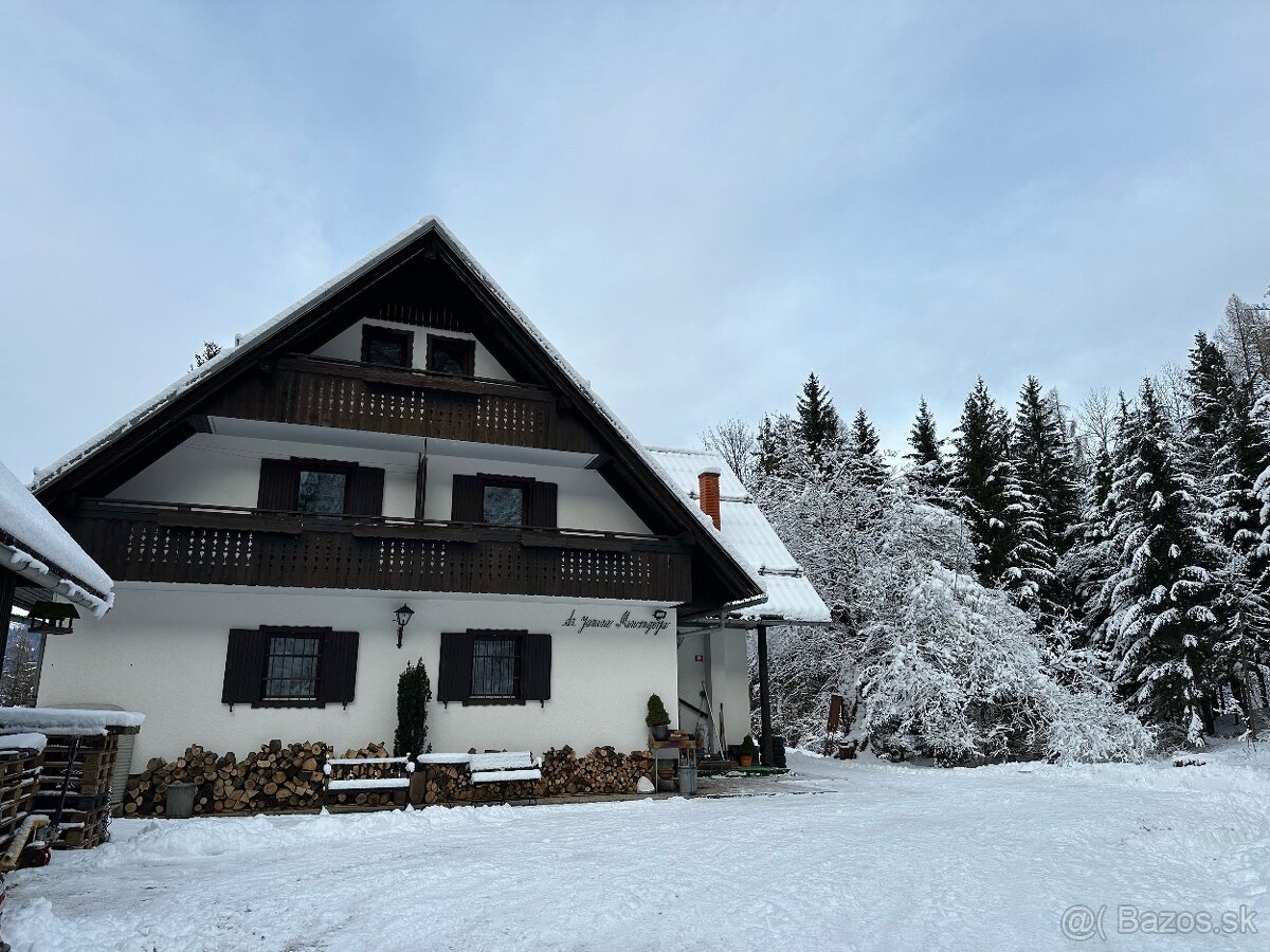 Dovolenka v Slovinsku (Bohinj-Bled)