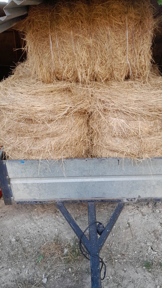 Predám malé guľaté balíky sena.