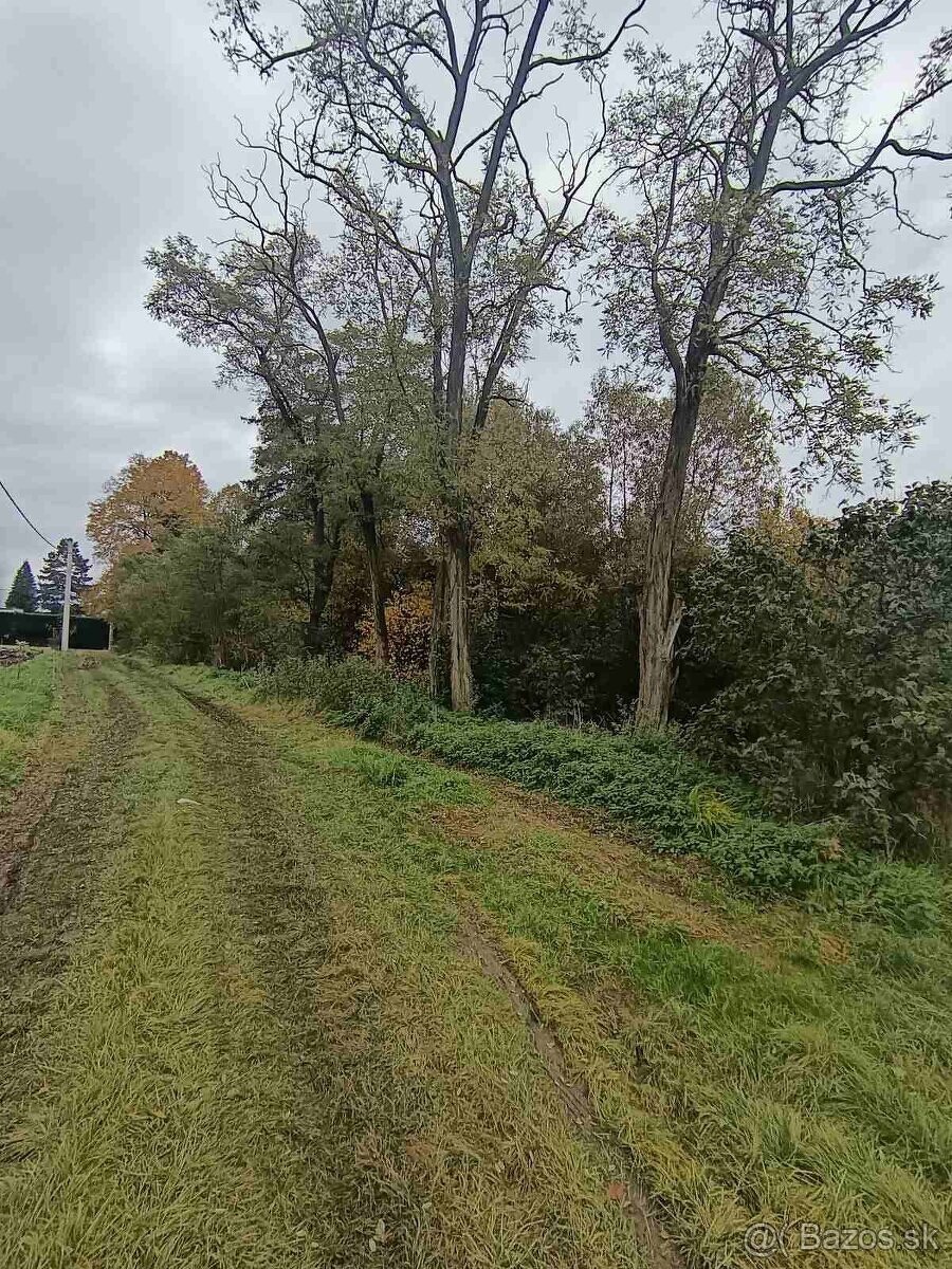 Záhradný pozemok pri potoku