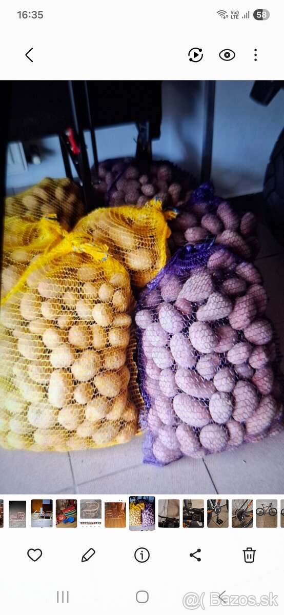 Domáce zemiaky odroda soraya