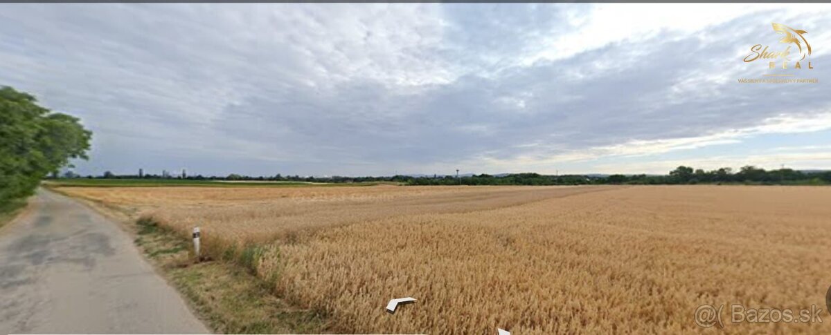 Predaj pozemku - záhrada v Bučanoch