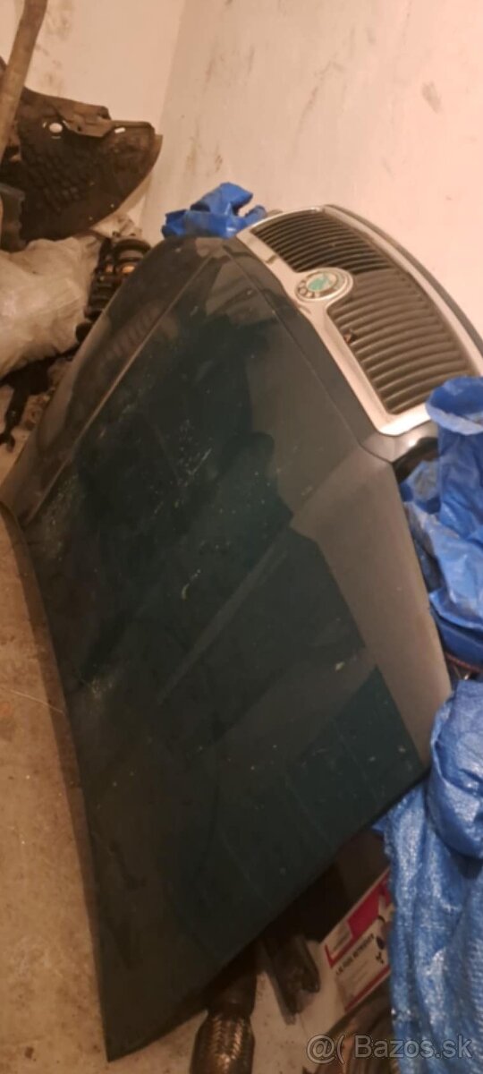 Skoda Fabia1