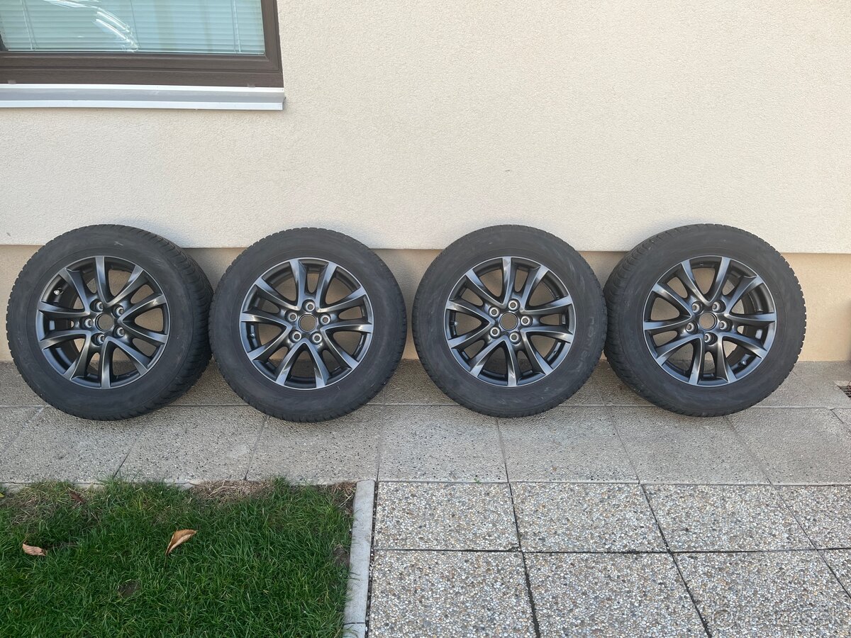 Zimna sada MAZDA R16