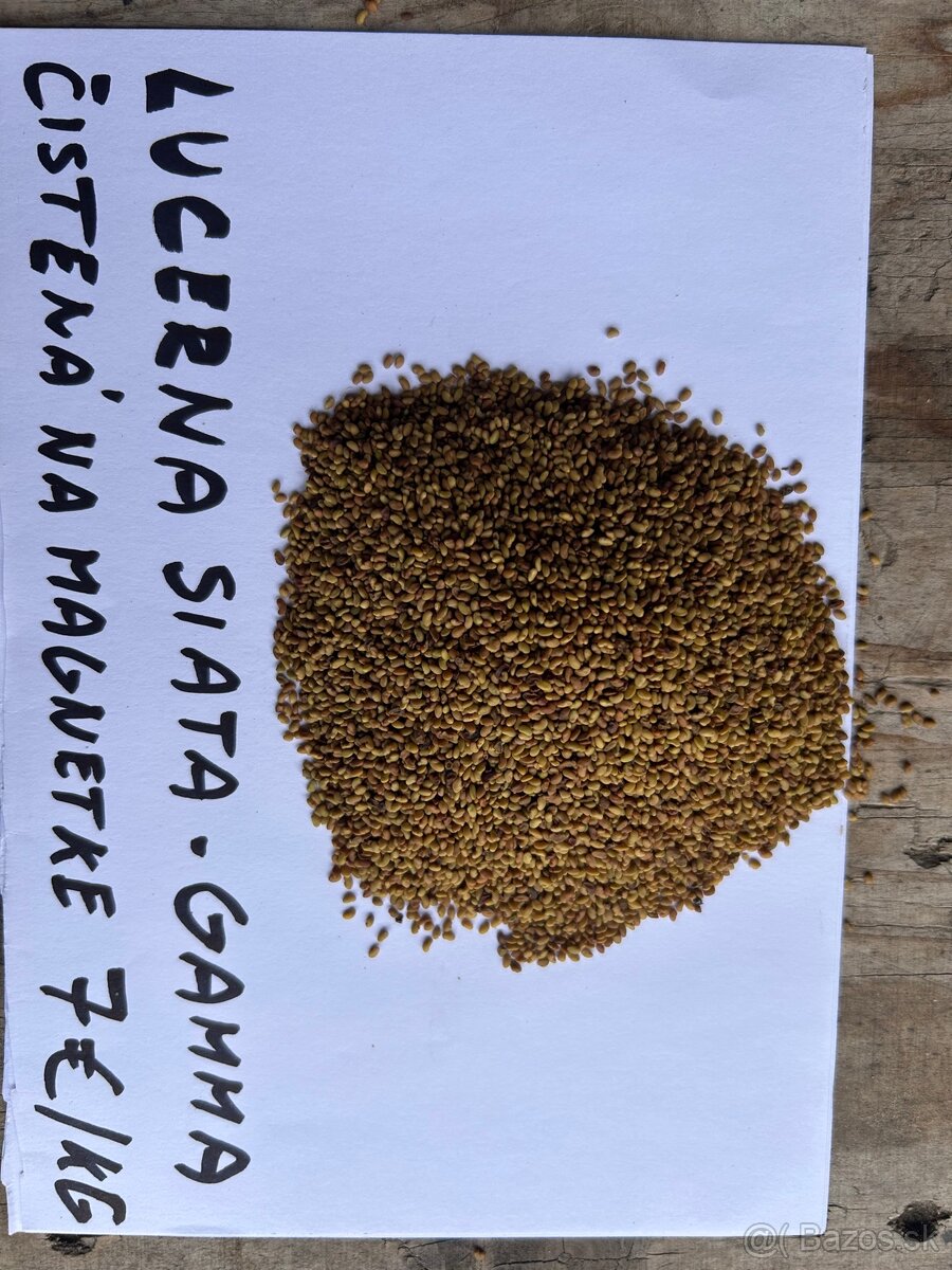 Lucerka osivo,datelina lucna,facelia