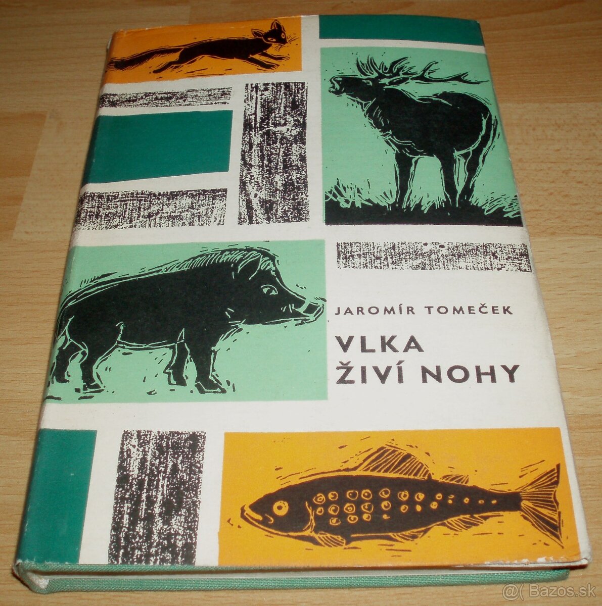Vlka živí nohy