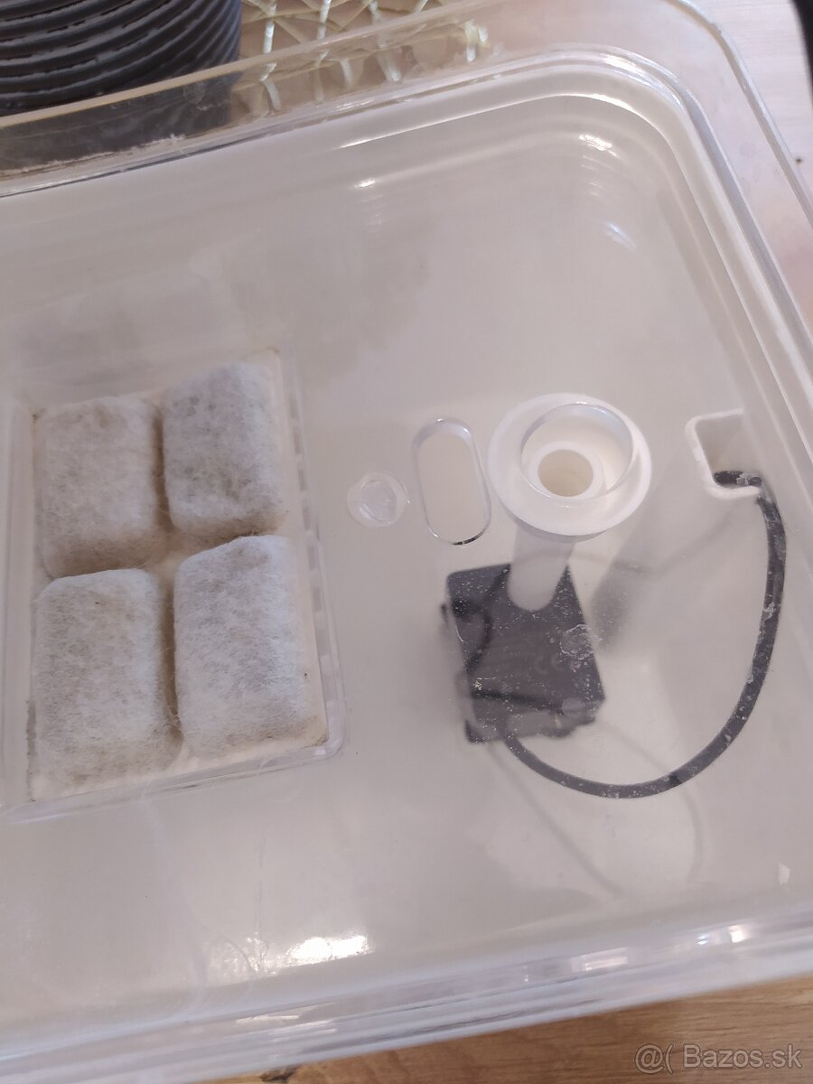 Fontana na vodu pre zvierata