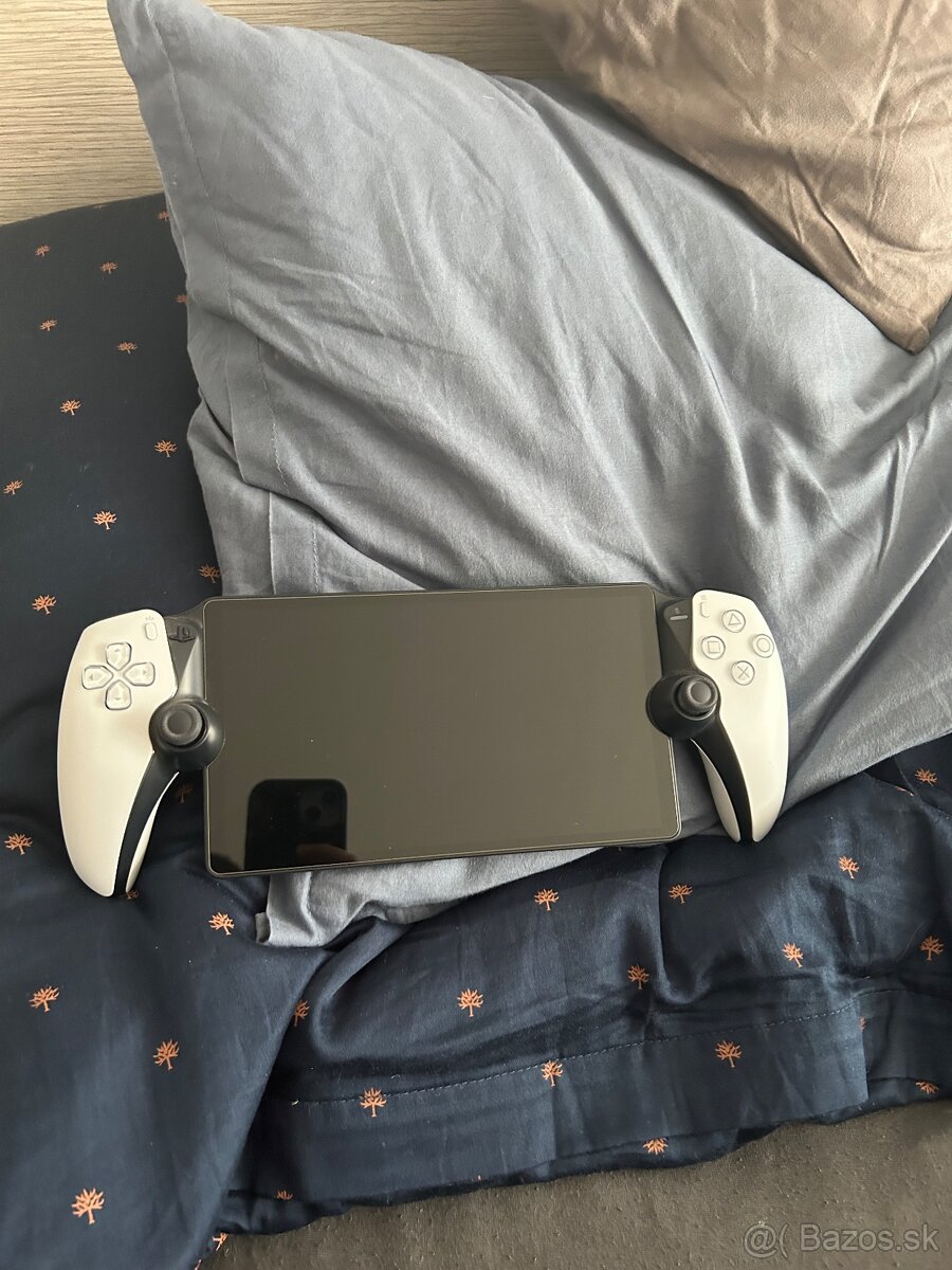 Playstation portal