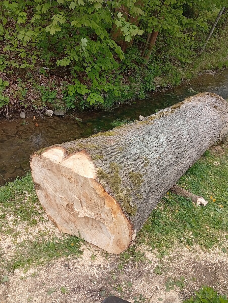 Predám lipové drevo pre rezbára