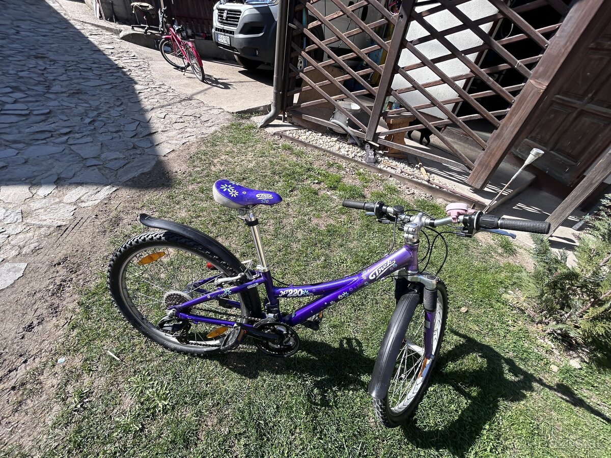Bicykel detský mt220