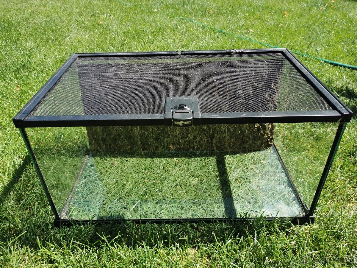 Terarium