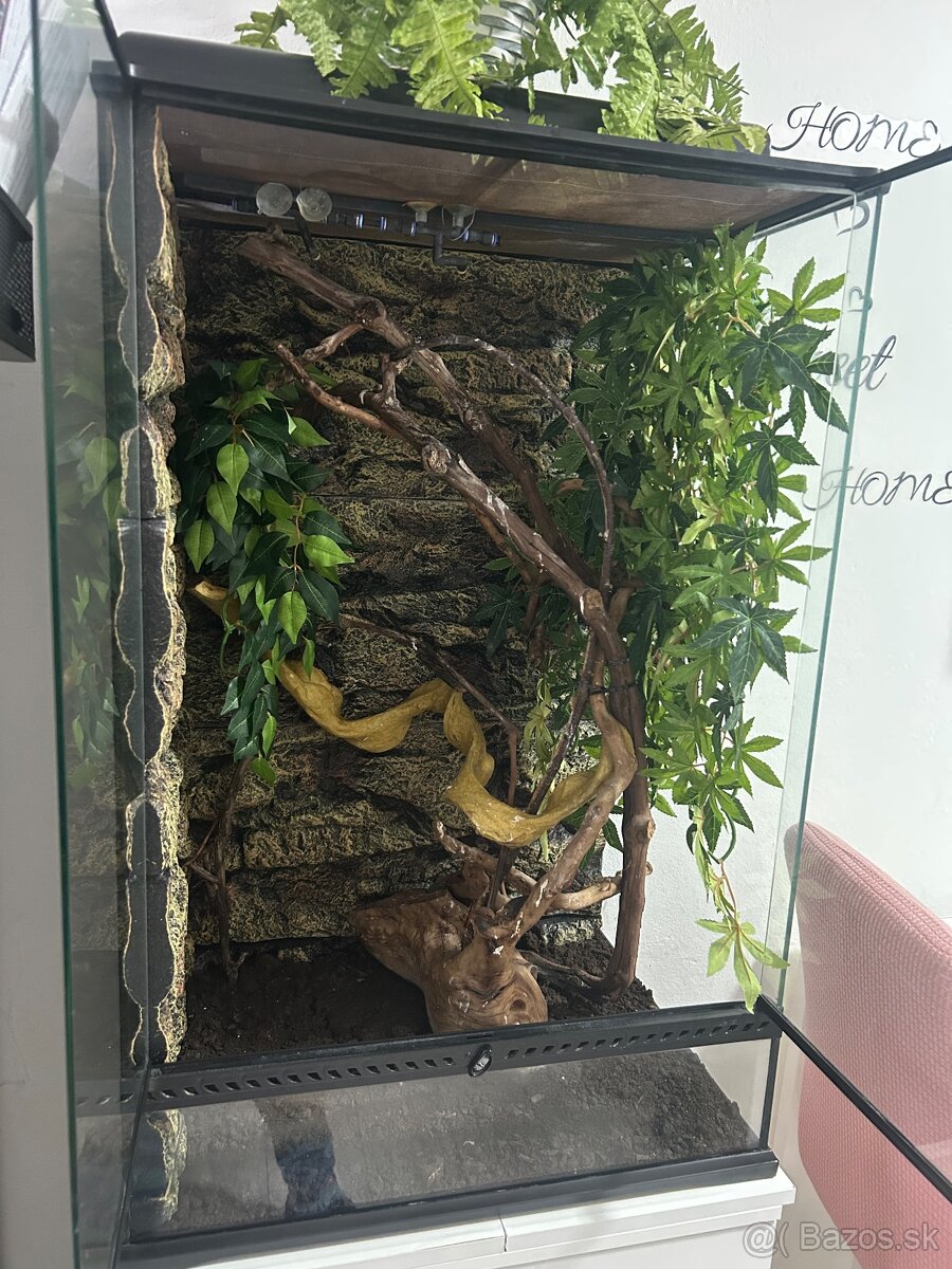 Terárium, skrinka, príslušenstvo