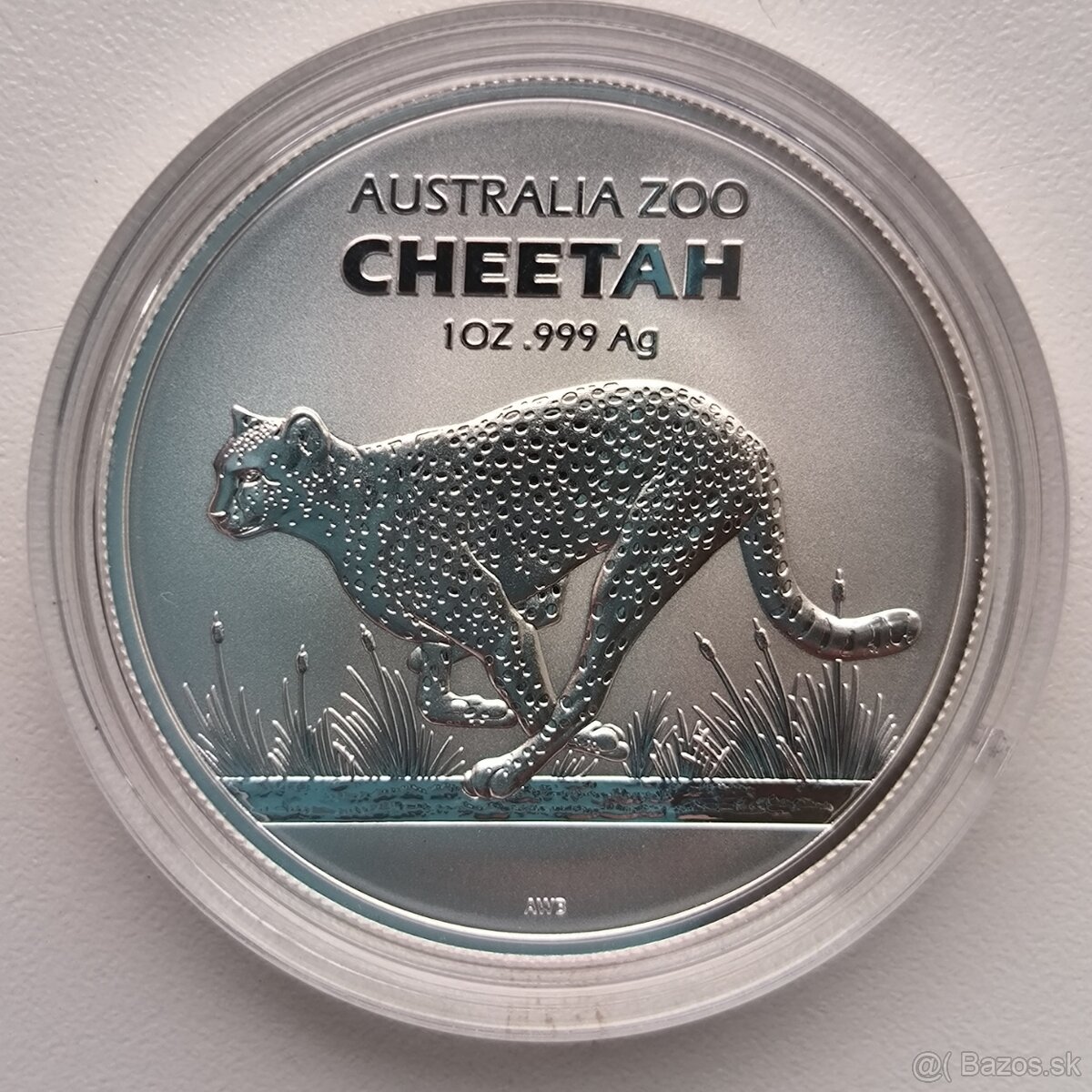Dollar Australia ZOO - 2021 - Gepard - RAM
