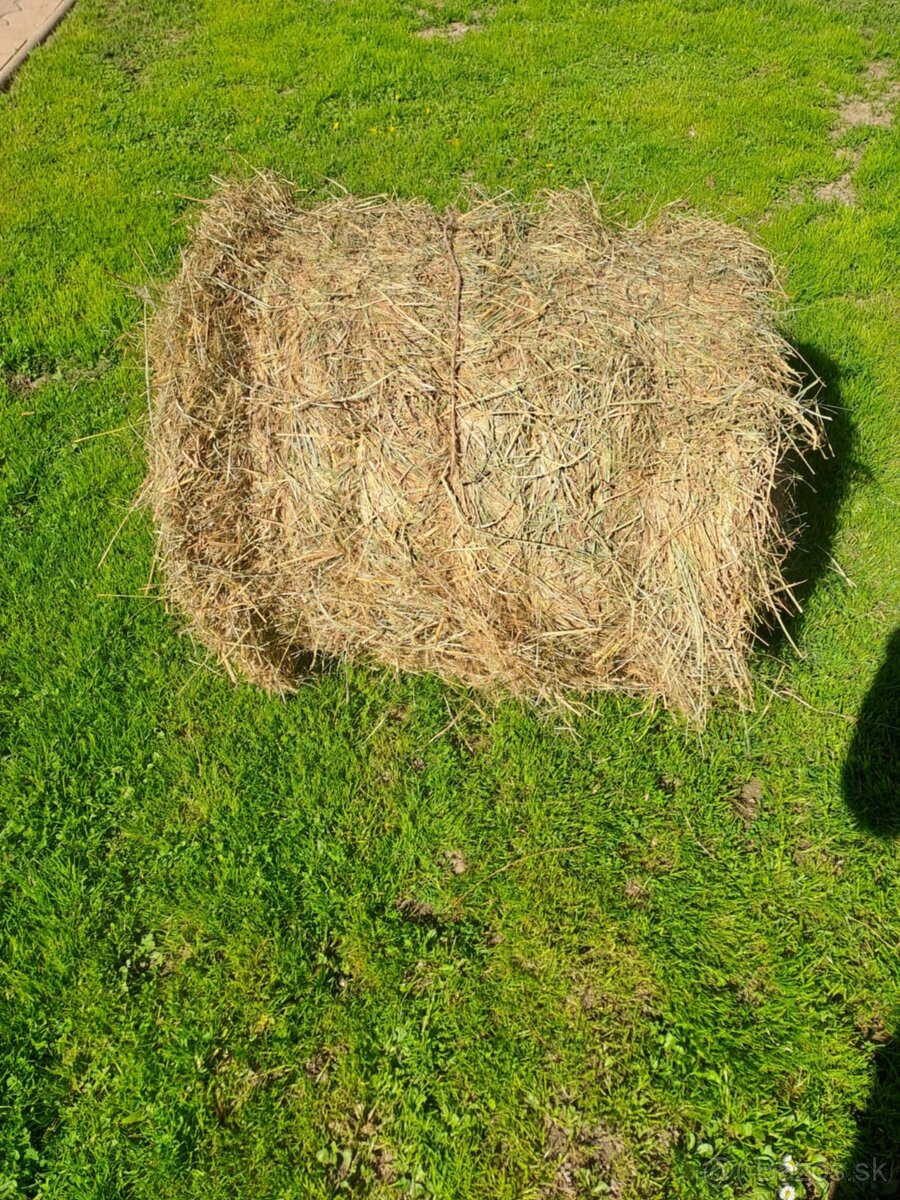 Predam balikovane seno