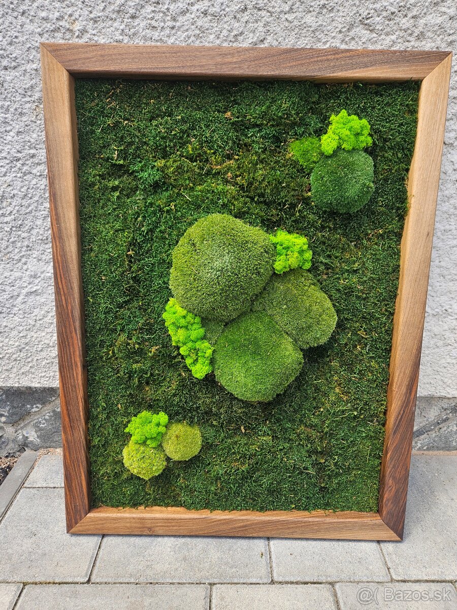 Machovy obraz 80x60cm
