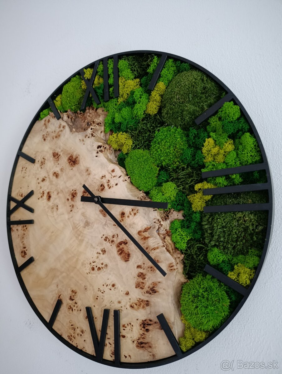 Machové hodiny topoľové