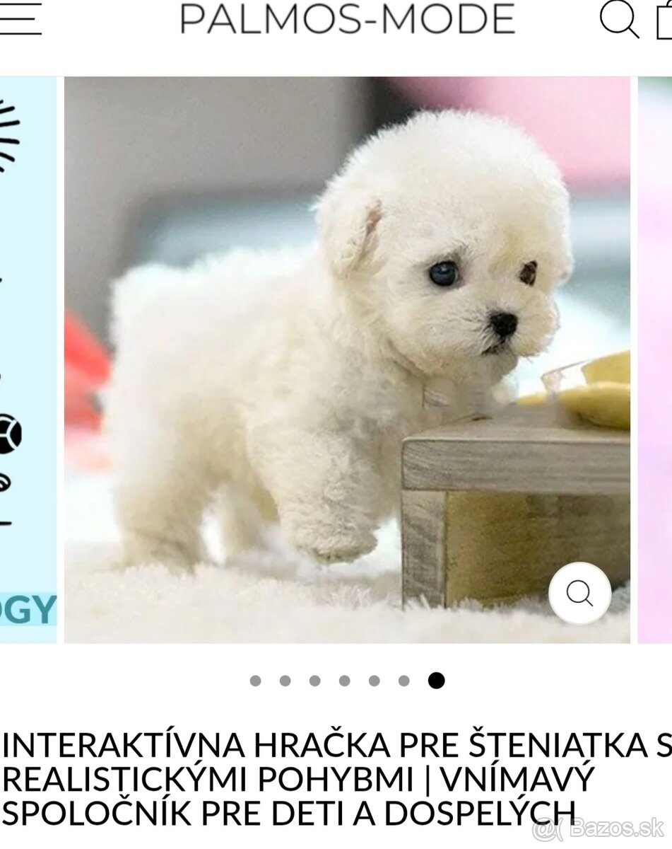 Psík