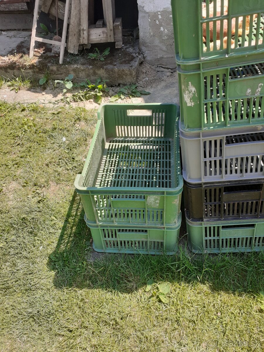 Prepravky na zeleninu