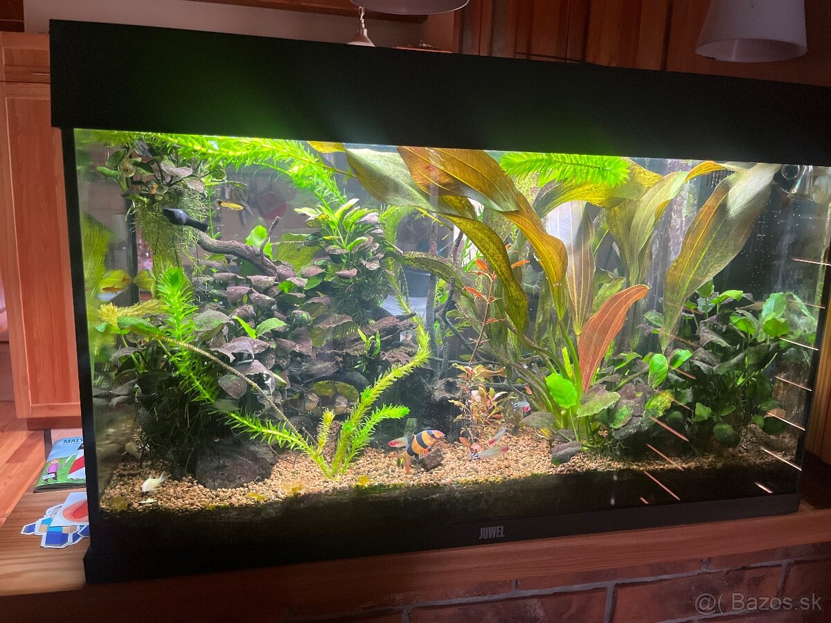 Akvarium s vybavením