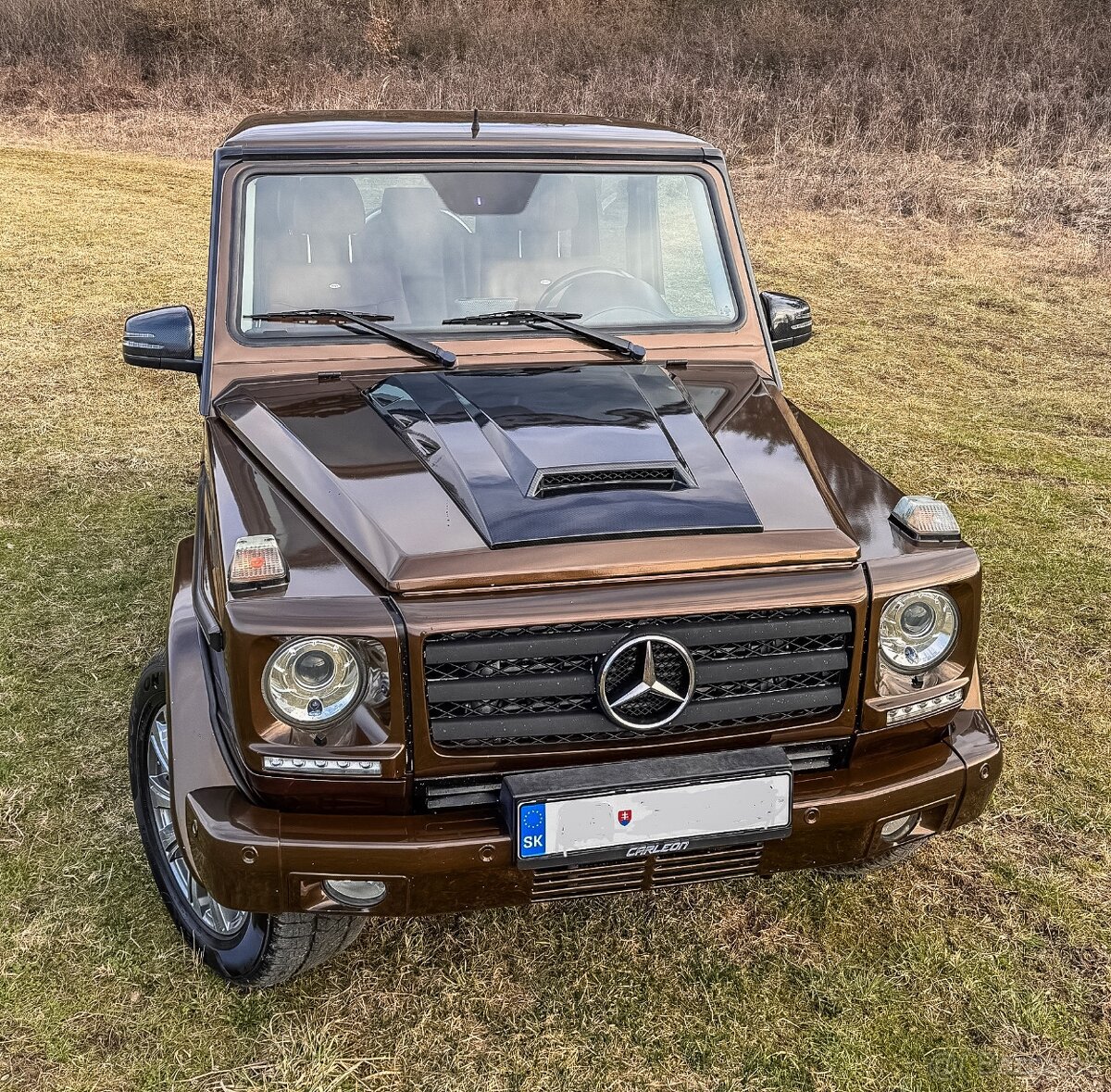 Mercedes Benz G 350 BLUETEC