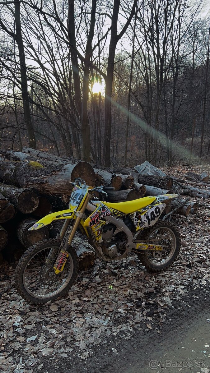 Suzuki rmz 450