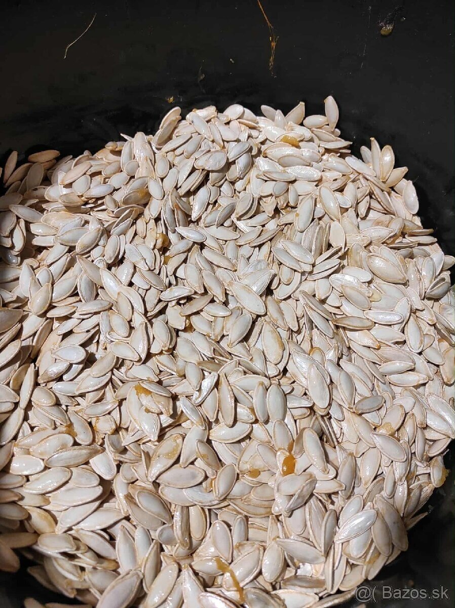 čerstvé/mrazené tekvicové jadierka