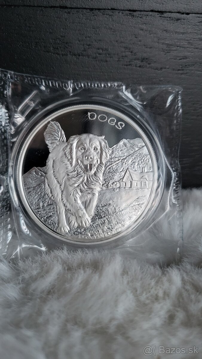 Strieborná minca Fiji dogs 2022