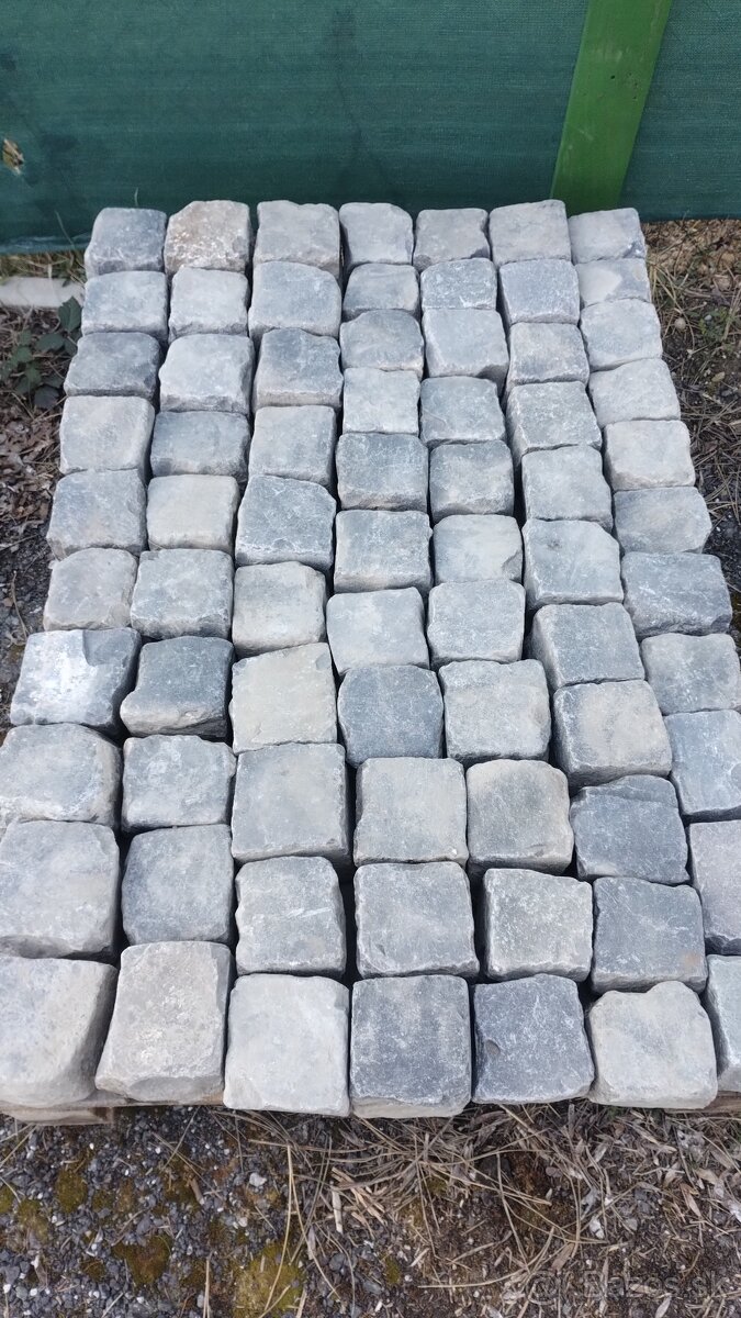 Predám mačacie hlavy