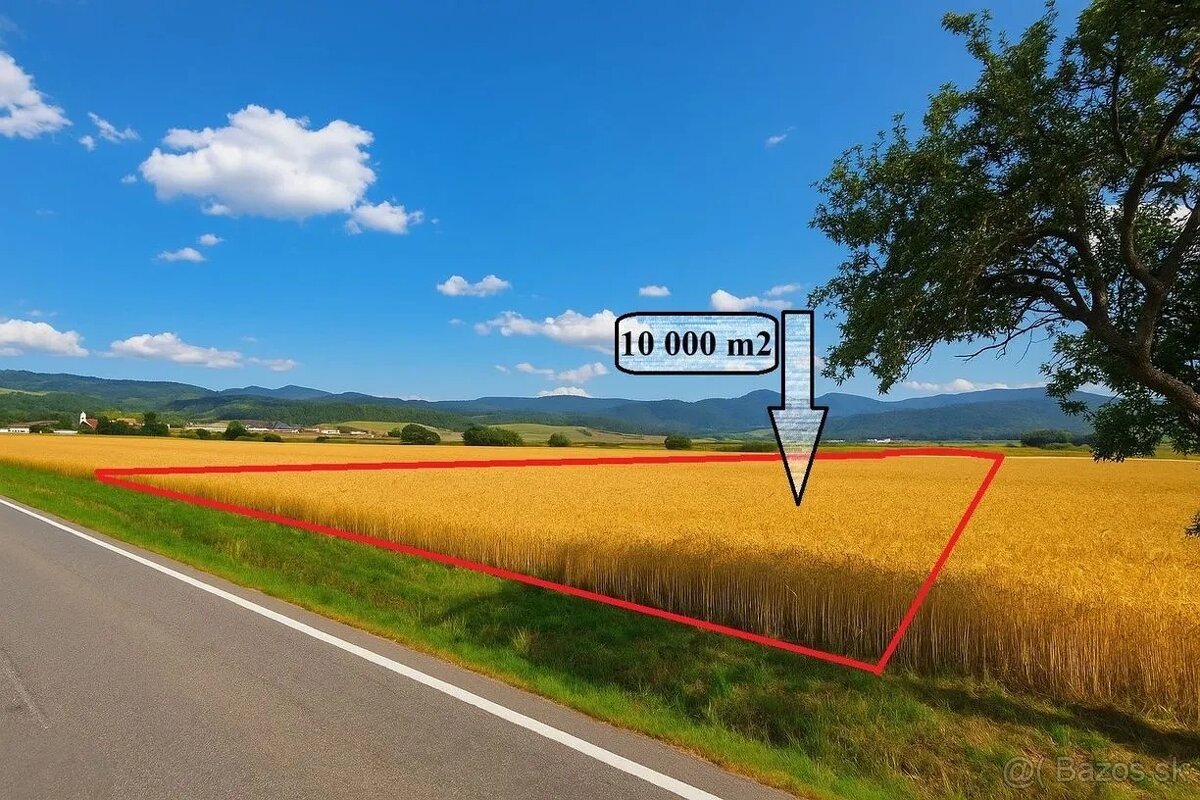 Predaj kvalitnej ornej pôdy v blízkosti obce Bijacovce