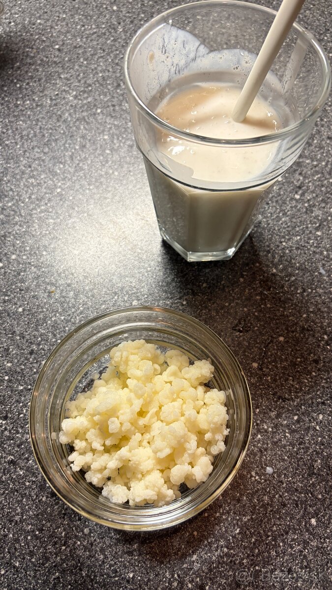 Predám pravý tibetský kefír – živé kultúry