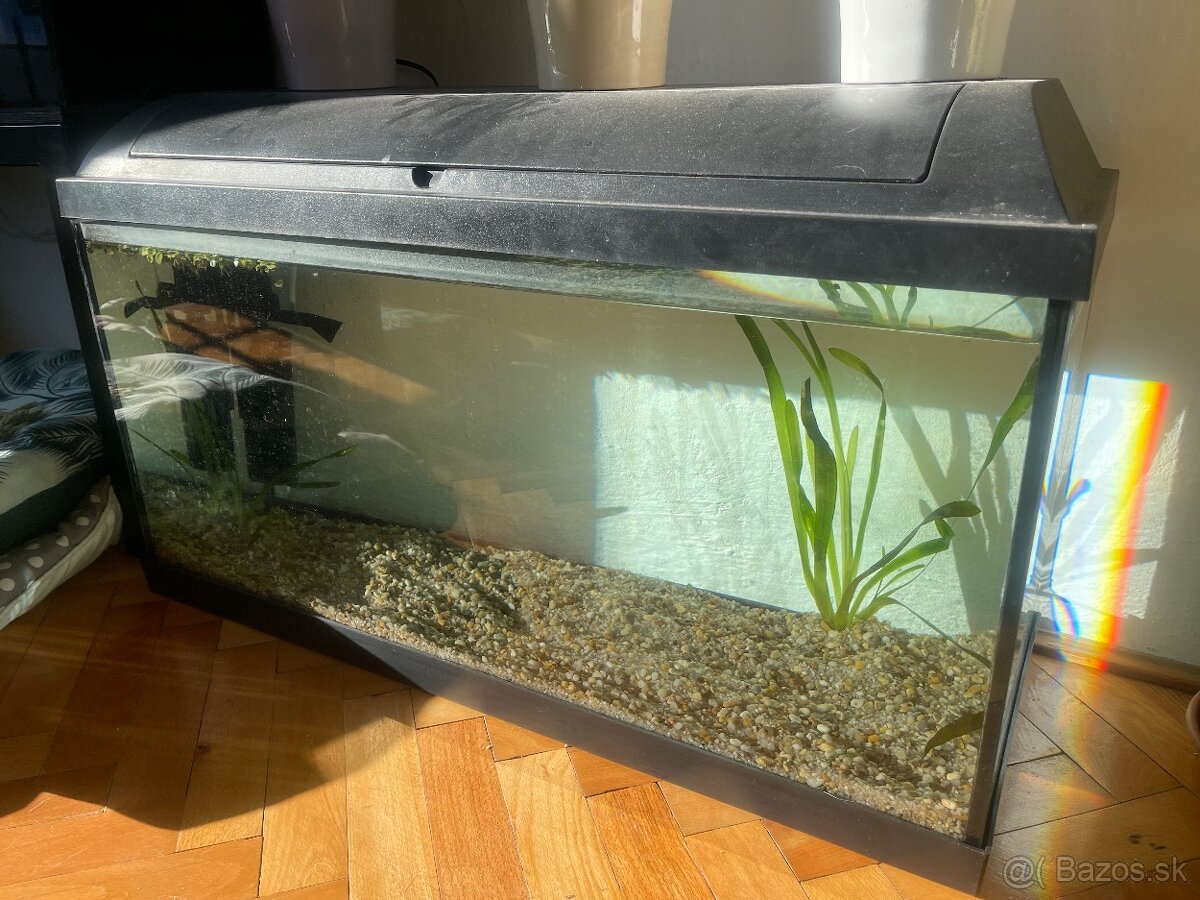 Akvárium 100l