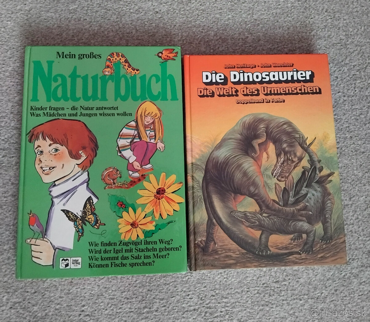 Detské knihy cudzojazyčné