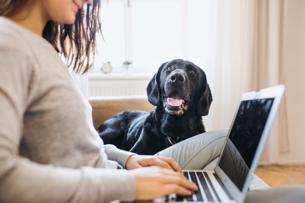 Práca asistentky z domu ( home office)