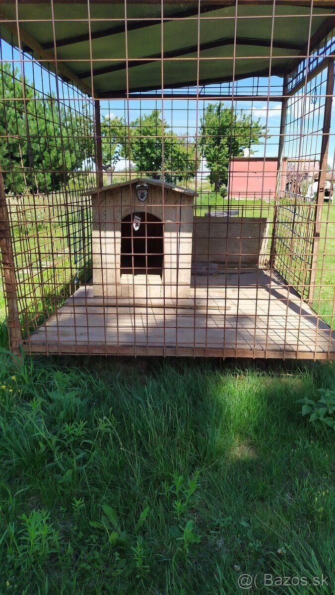 Predám voliéru, búdu a prepravnú klietku pre psa