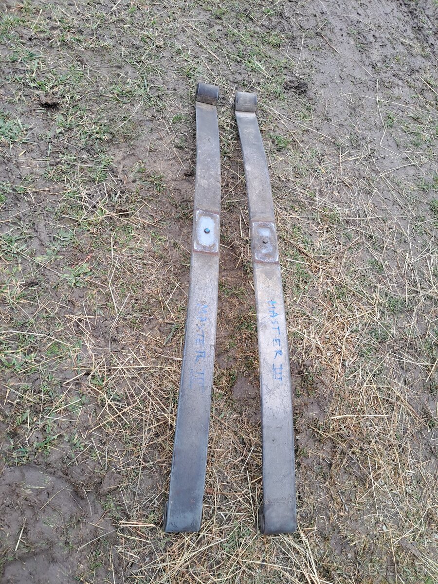 Master - listove pera