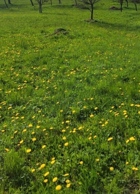 Pozemok na stavbu RD - Ondrašovce