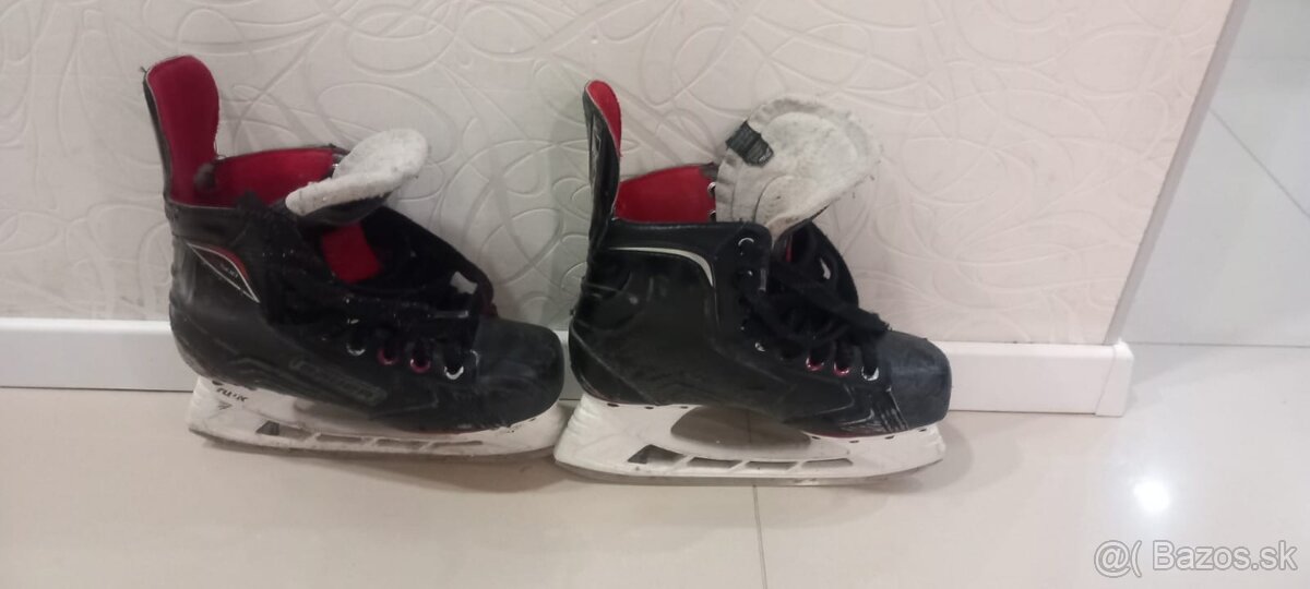 Korčule Bauer č.39