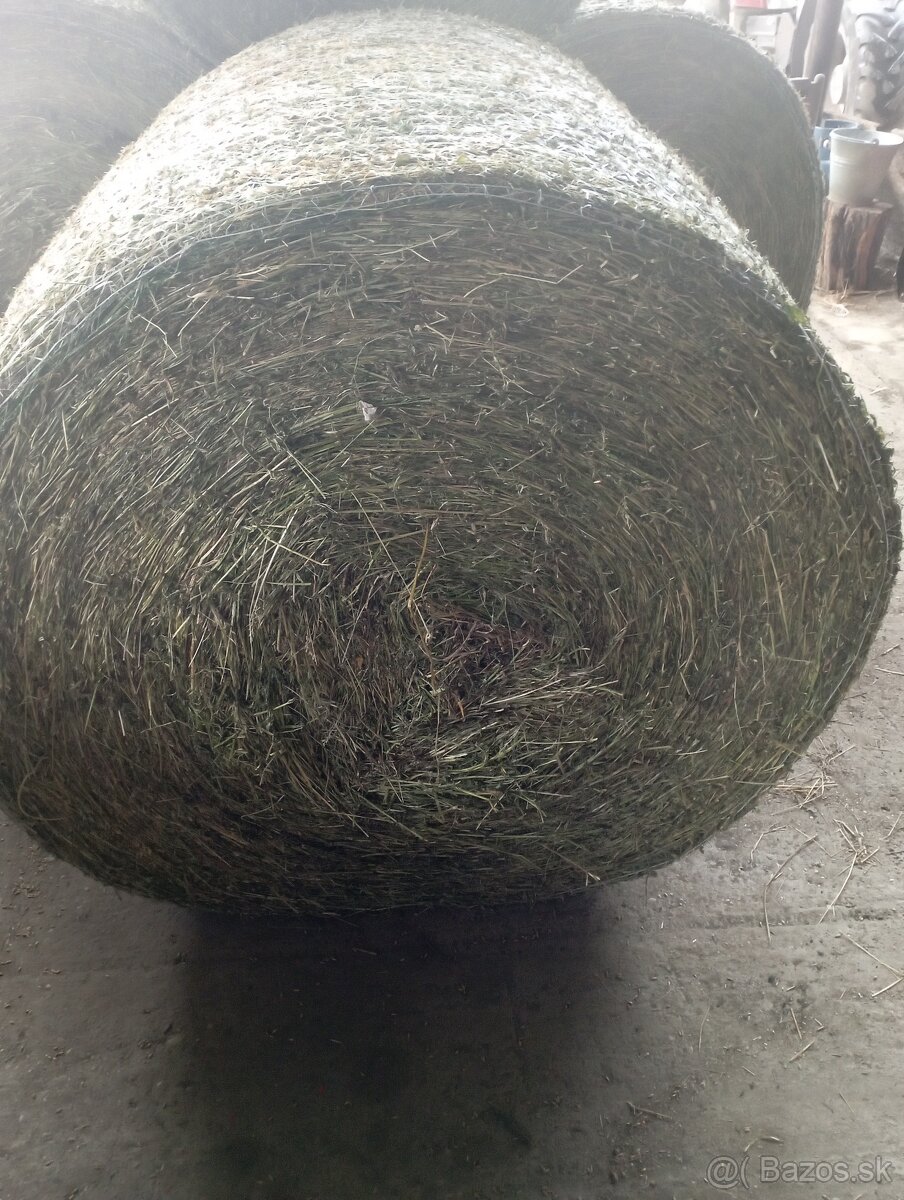 Senaz  psenicna slama