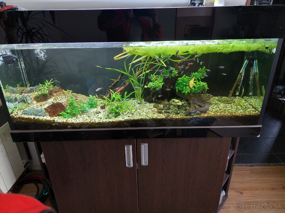 Koplet akvarium 400L
