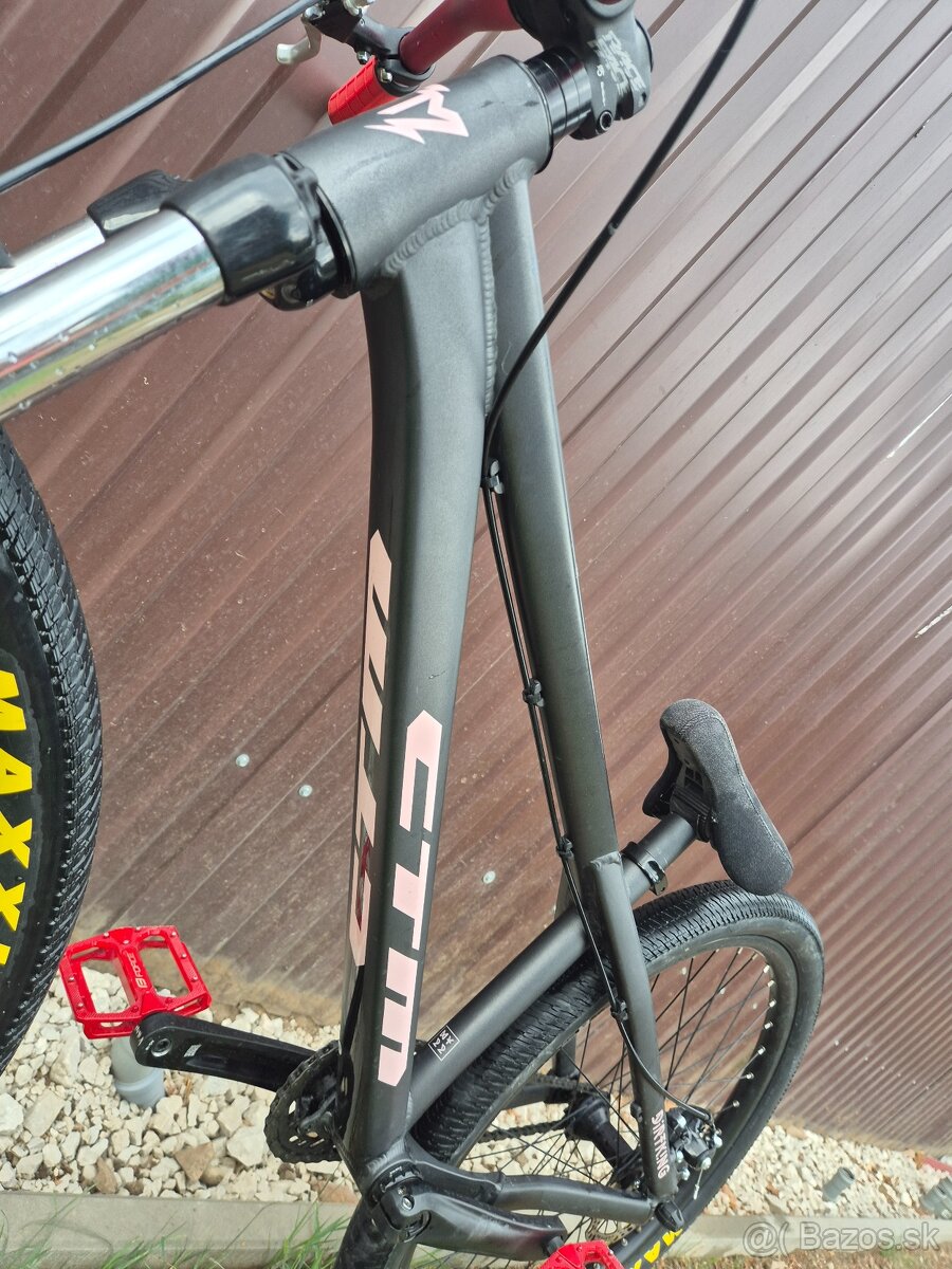 CTM DIRTKING