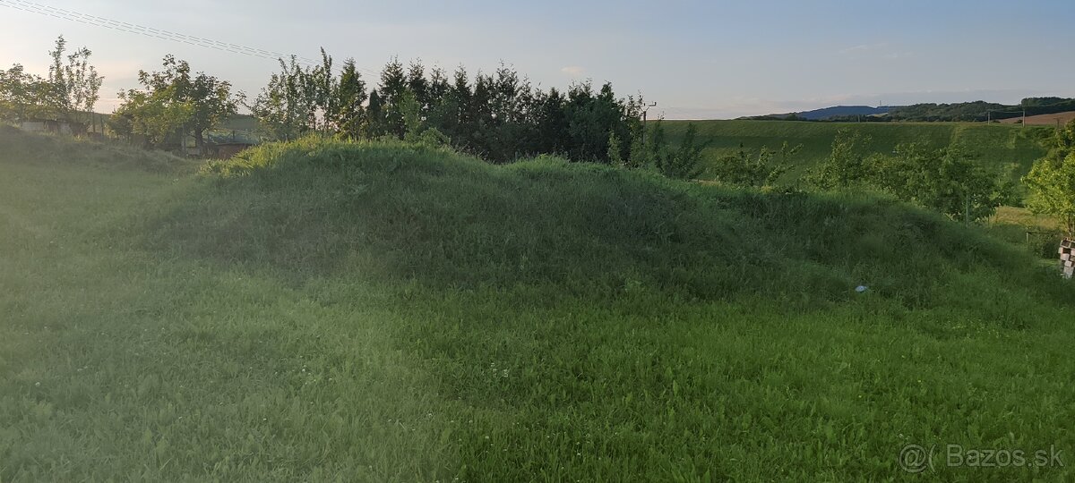 Ornica