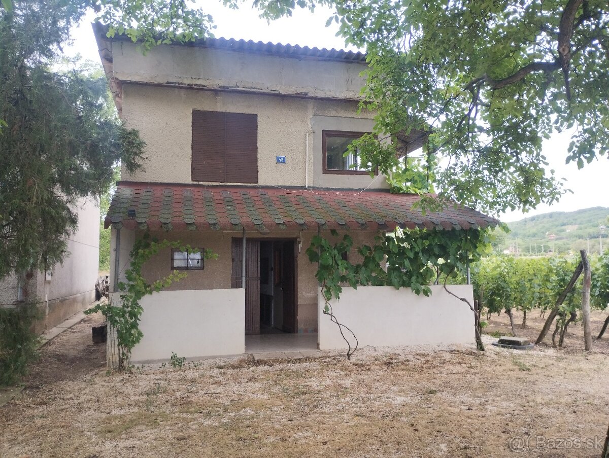 Predám vinohradnícky domček s vinicou