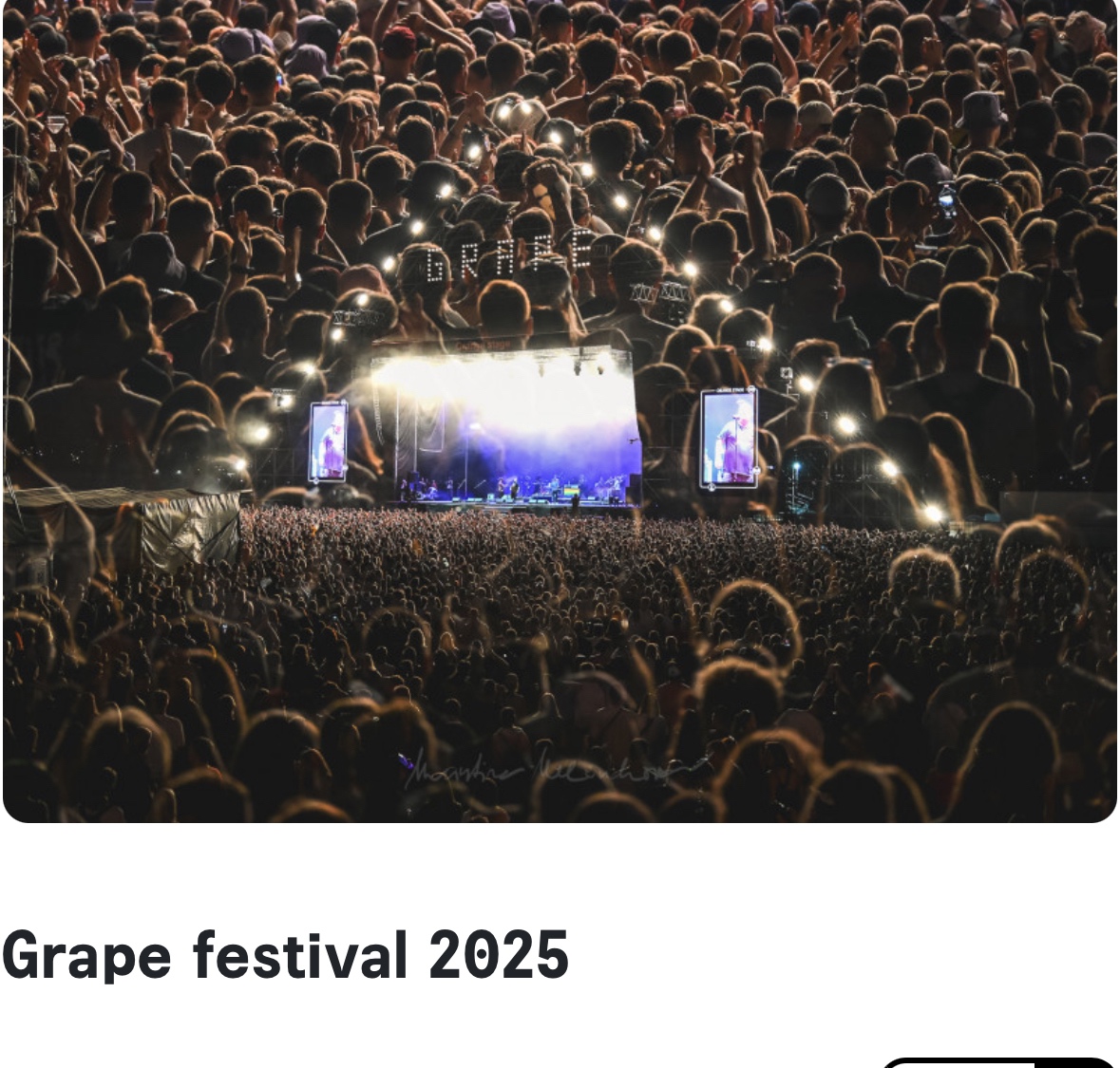 Grape festival 2025