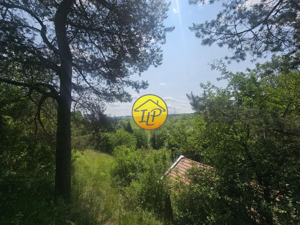 Pozemok 5656 m2 so starým domom na predaj v meste SNV.