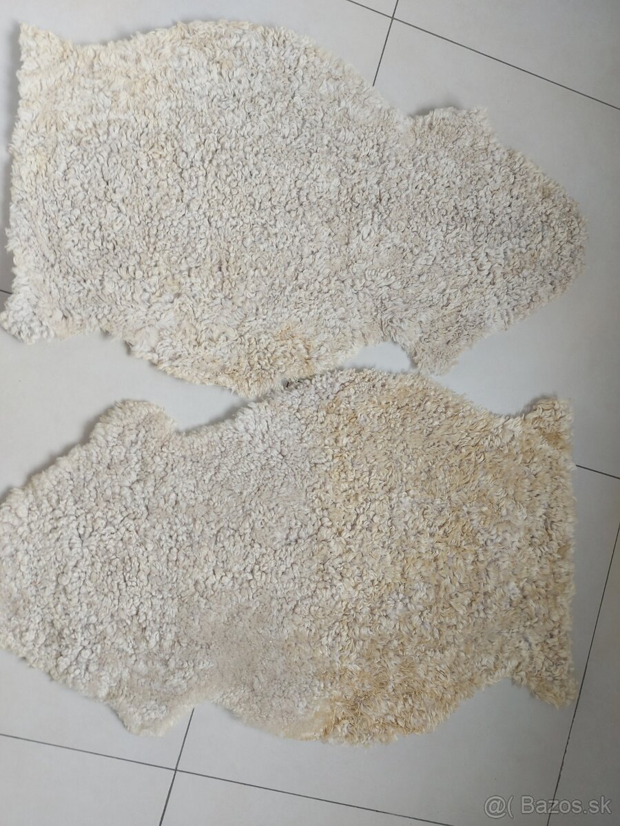 Ovcia koza / kozusina