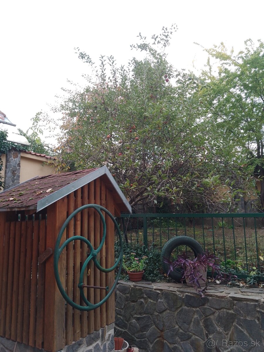 Predaj rodinného domu