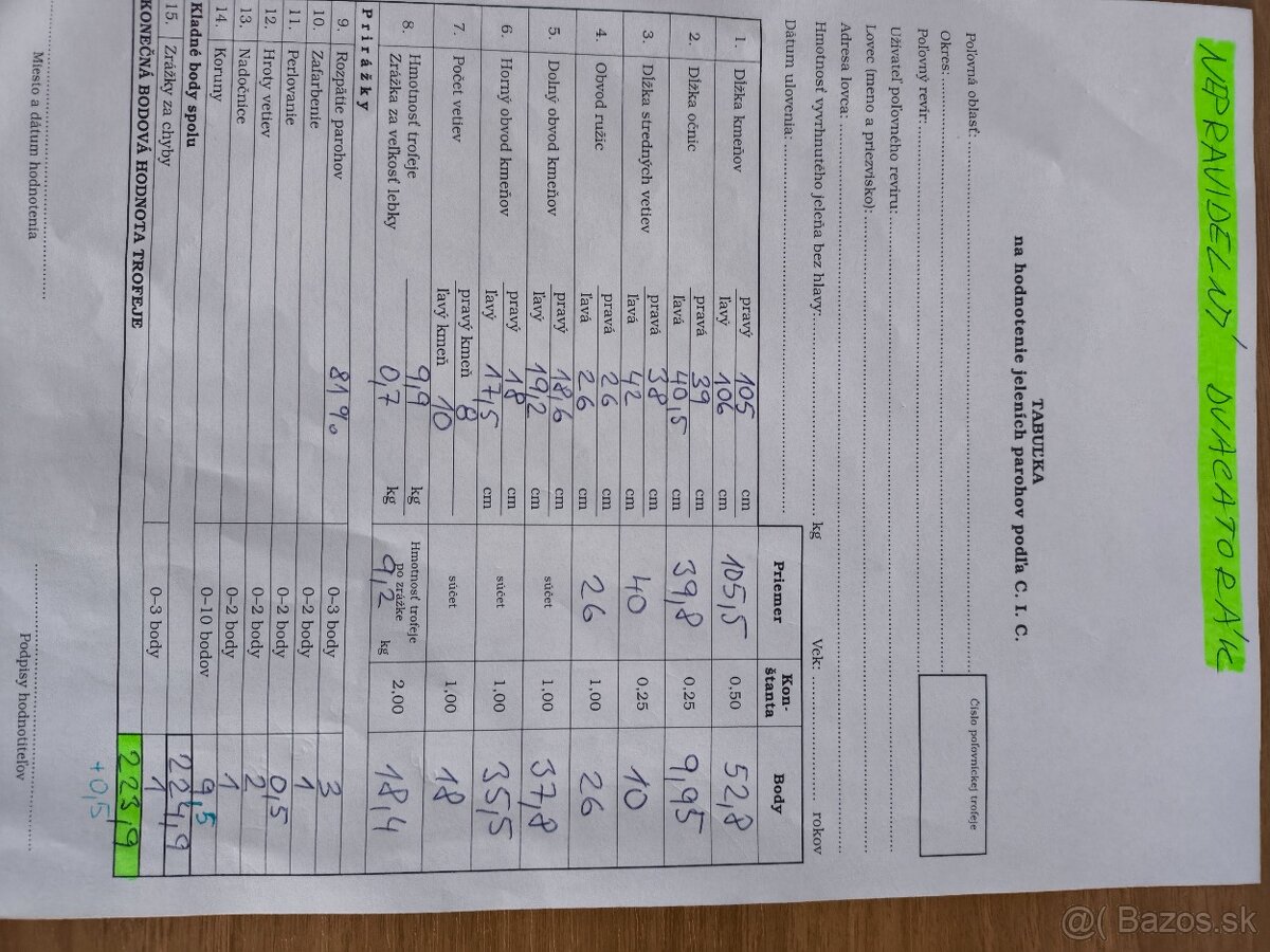 Trofej,parohy,parozie