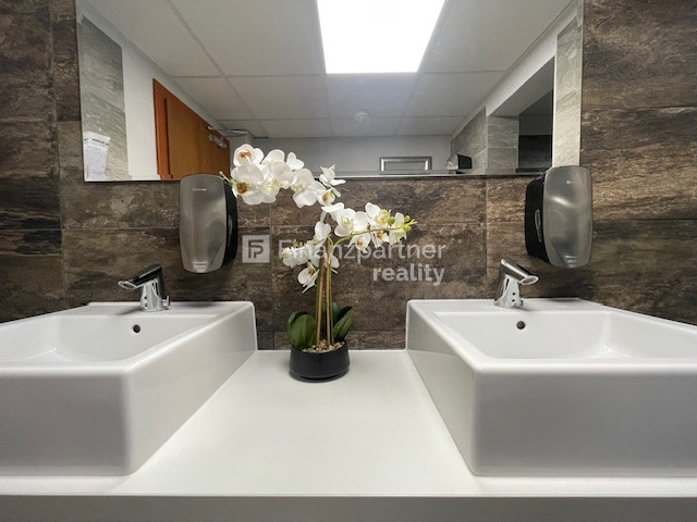 NOVÉ BYTY (F566-112-ANM)