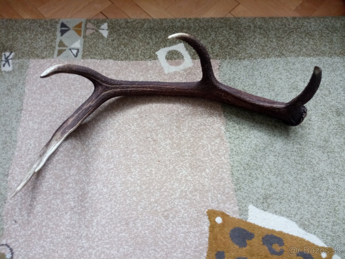 Parožie, solo zhod 3kg