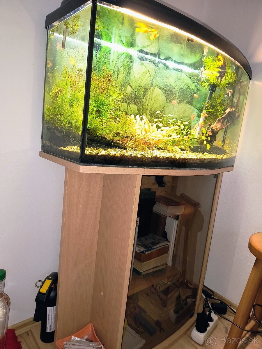 Predám staršie 100 L akvárium